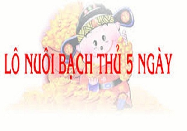 Bạch thủ nuôi khung 5 ngày